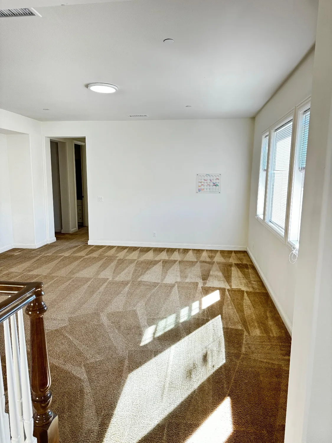 Carpeted room showing a visible cleaning-pass pattern after carpet cleaning.